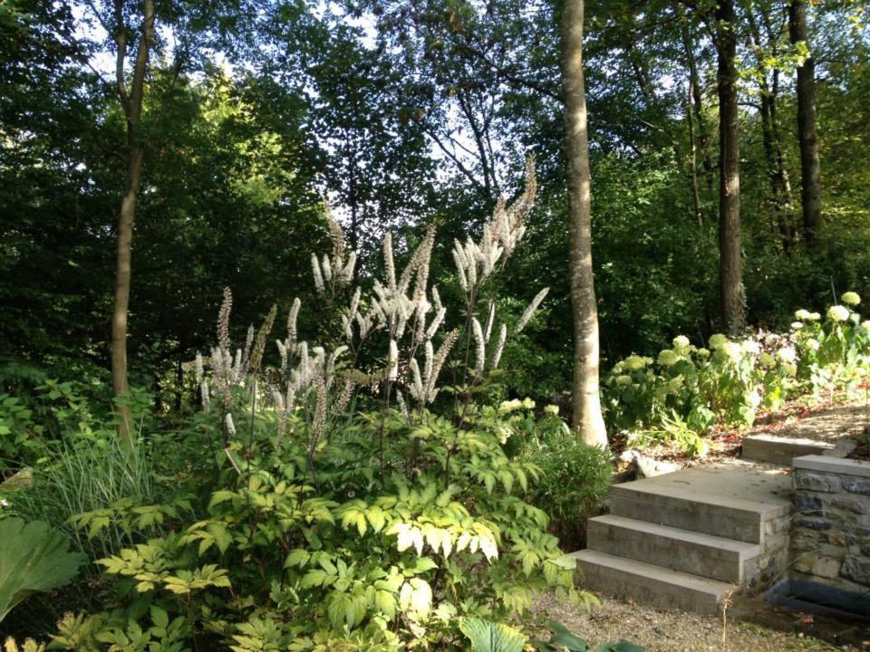 Ardenne Bnb Marche-en-Famenne Exterior photo